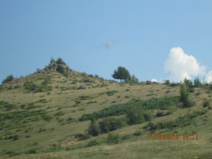 IMG_7490 - Transalpina 2013