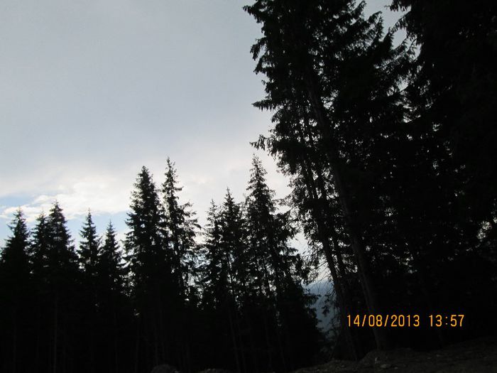 IMG_7781 - Transalpina 2013