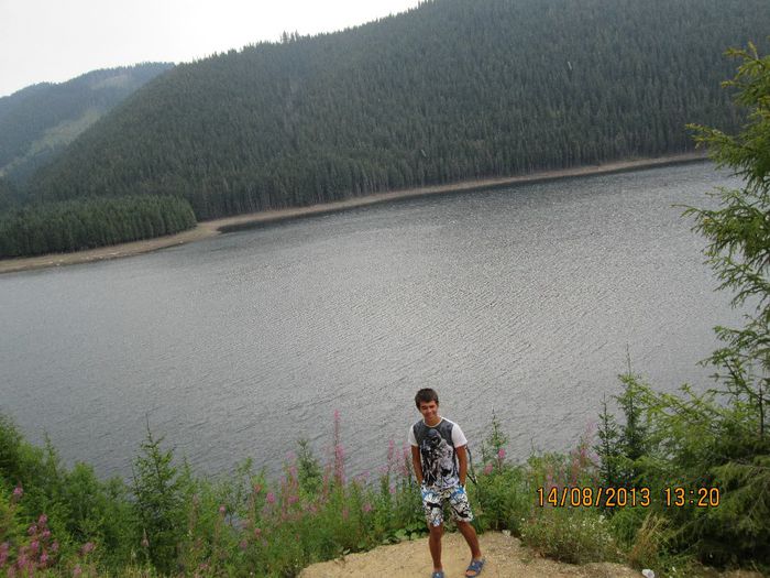 IMG_7753 - Transalpina 2013