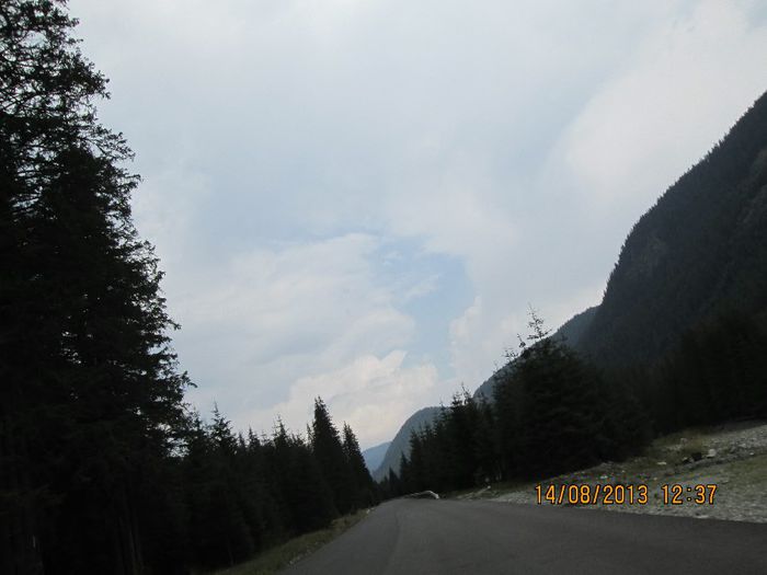 IMG_7728 - Transalpina 2013