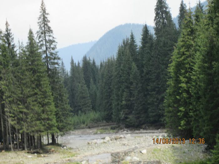 IMG_7721 - Transalpina 2013