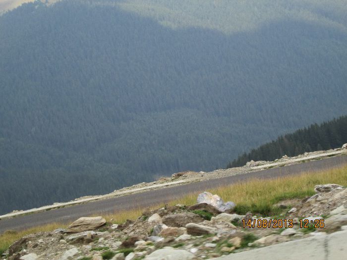 IMG_7699 - Transalpina 2013