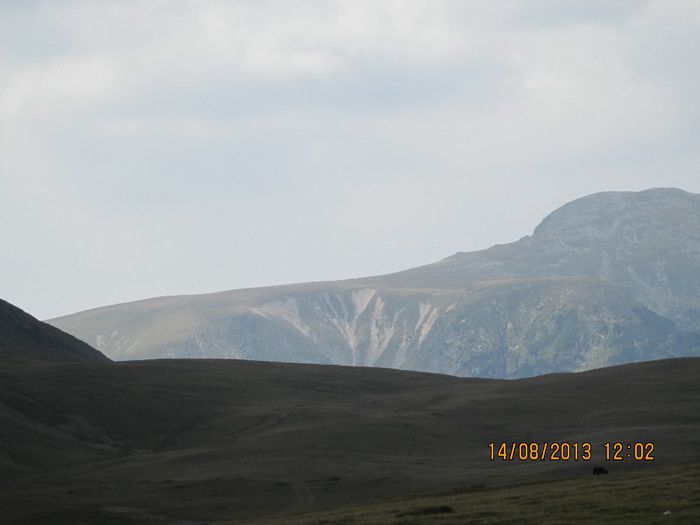 IMG_7635 - Transalpina 2013