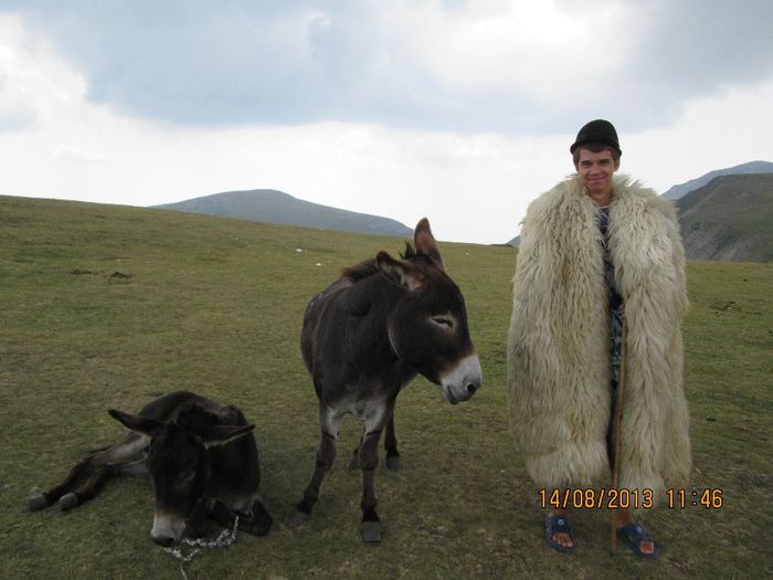 IMG_7630 - Transalpina 2013