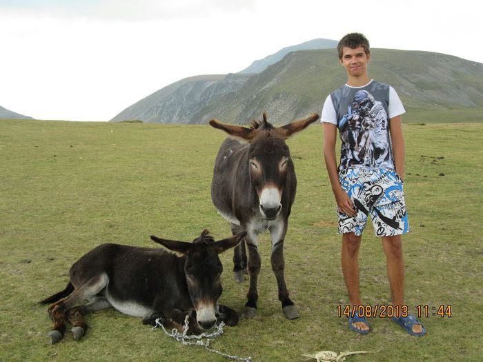 IMG_7627 - Transalpina 2013