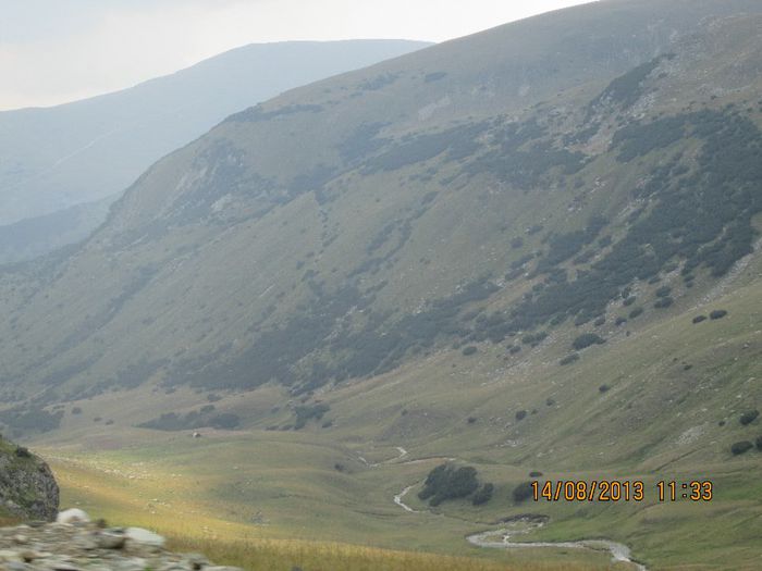 IMG_7609 - Transalpina 2013