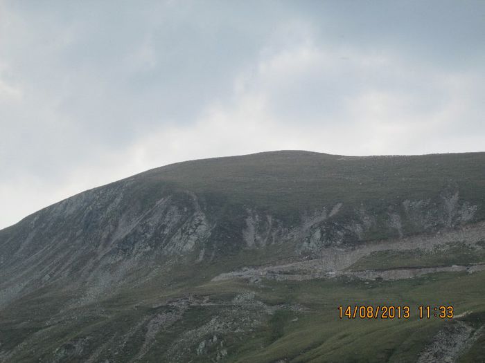 IMG_7608 - Transalpina 2013
