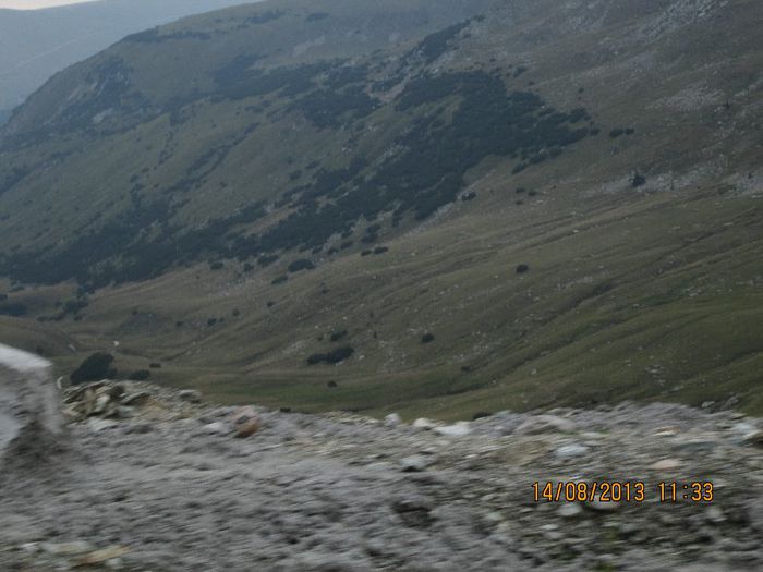 IMG_7607 - Transalpina 2013