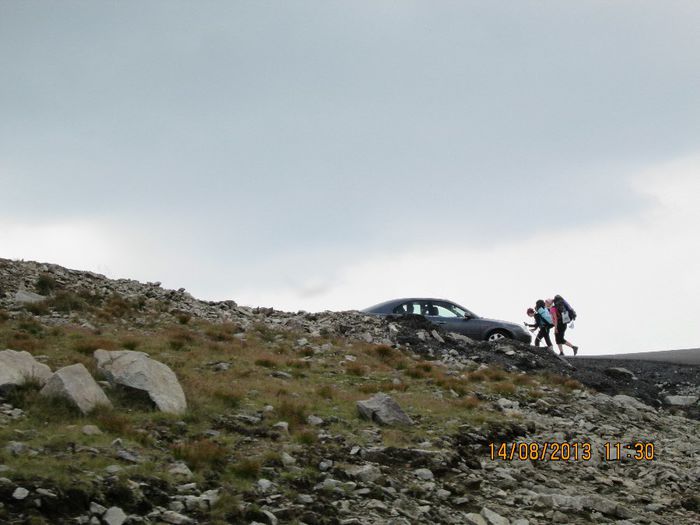 IMG_7588 - Transalpina 2013