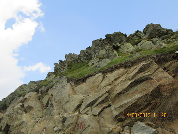 IMG_7578 - Transalpina 2013