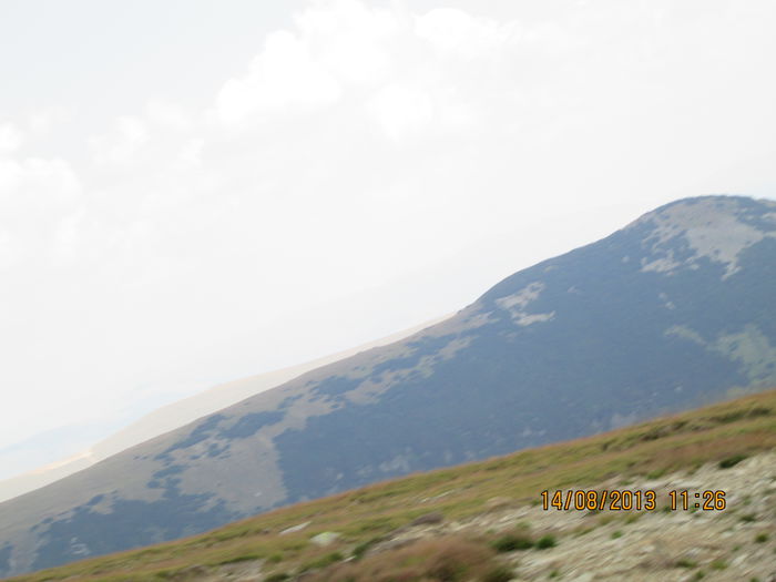 IMG_7571 - Transalpina 2013