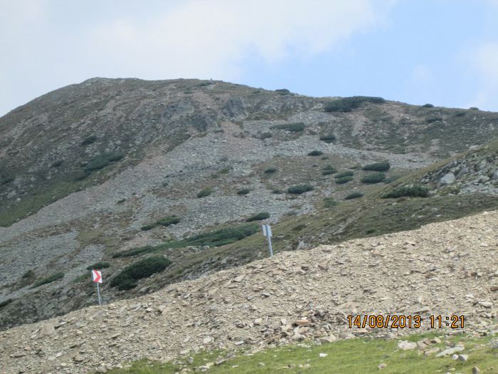 IMG_7554 - Transalpina 2013