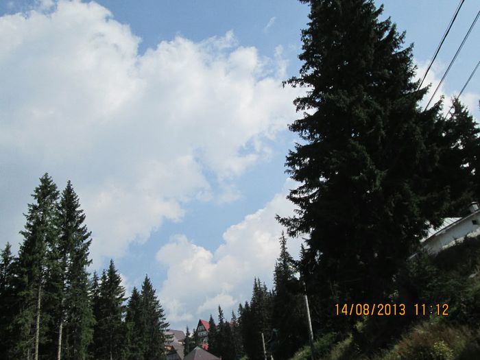 IMG_7528 - Transalpina 2013