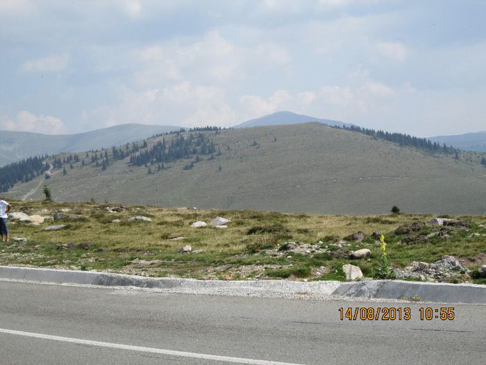 IMG_7513 - Transalpina 2013