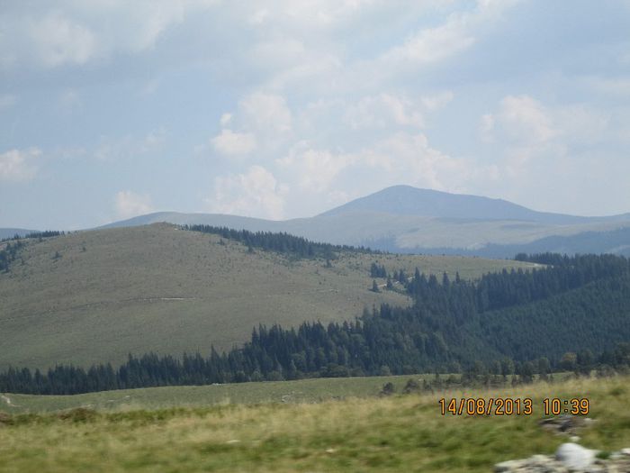 IMG_7510 - Transalpina 2013