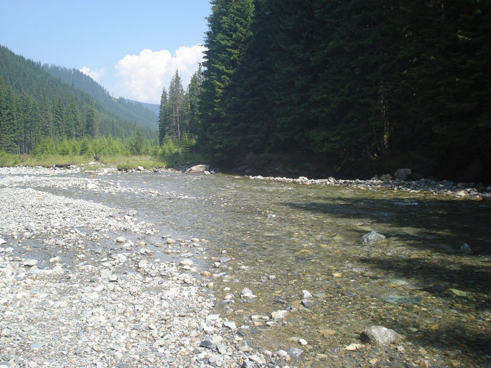 obarsia 2010 (48) - obarsia oltului