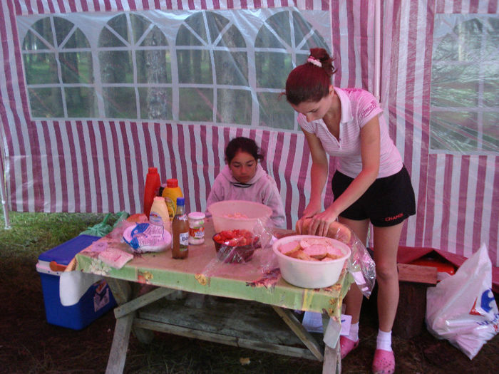 obarsia 2010 (92) - obarsia oltului