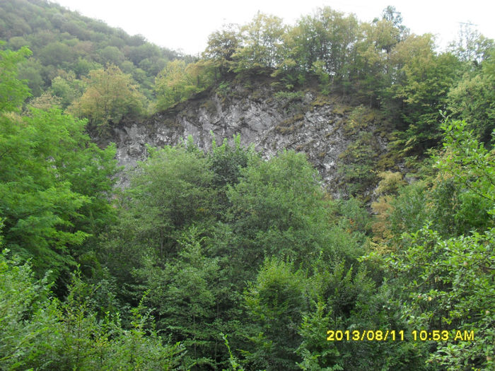 Rusca Montana-cismaria - Excursii-2013