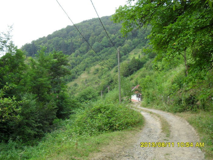 Rusca Montana-cioara - Excursii-2013