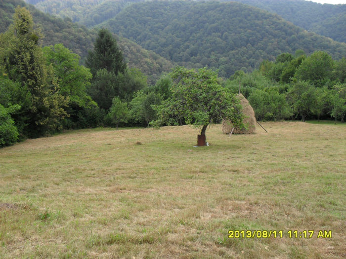 Otelu Rosu-finete - Excursii-2013