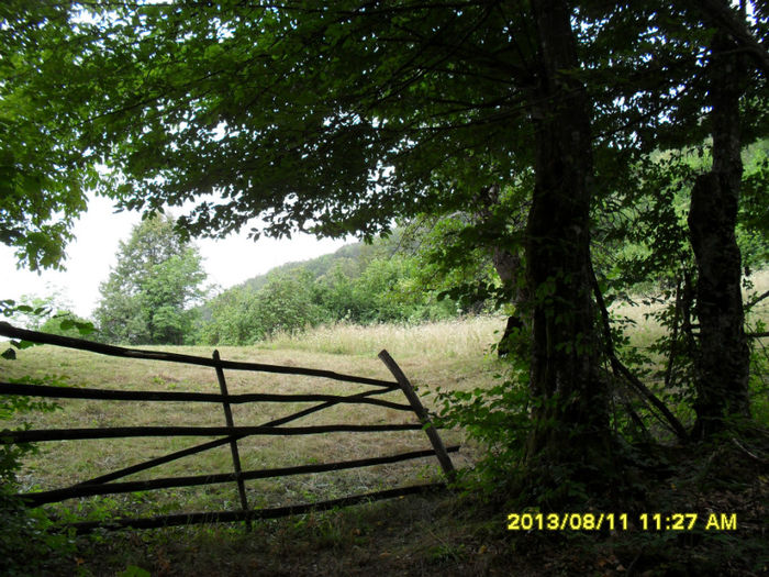 Rusca Montana-finete - Excursii-2013