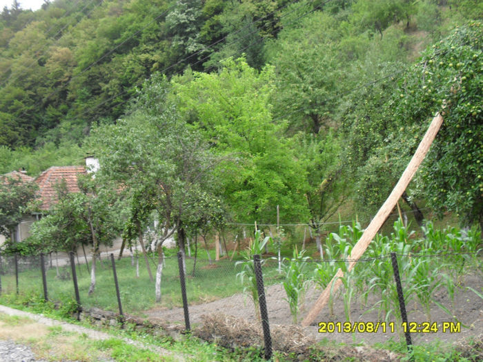 Rusca Montana - Excursii-2013