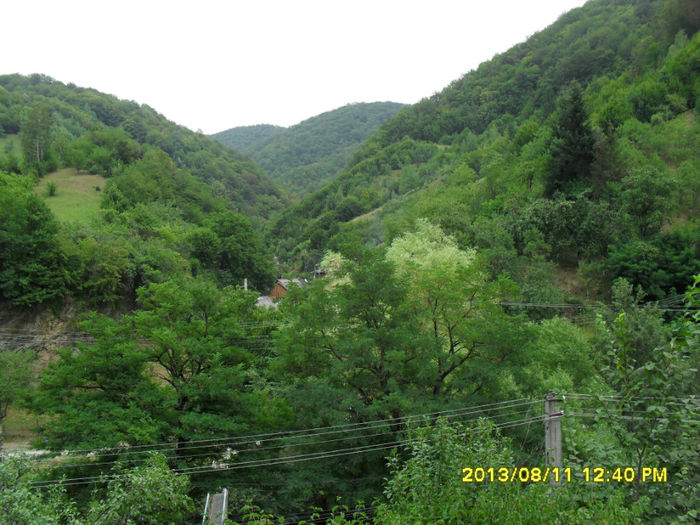 Rusca Montana - Excursii-2013