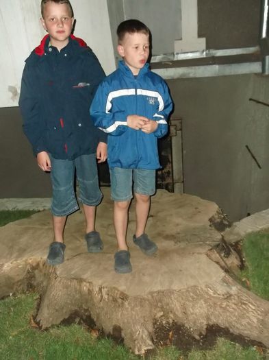 in varful stejarului