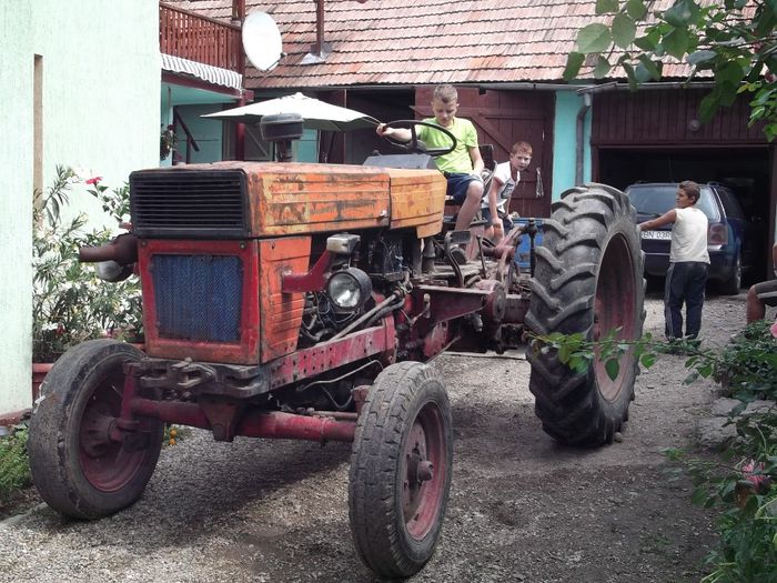 agricultura are nevoie de tineri - NEPOTII IN TIMPUL LIBER