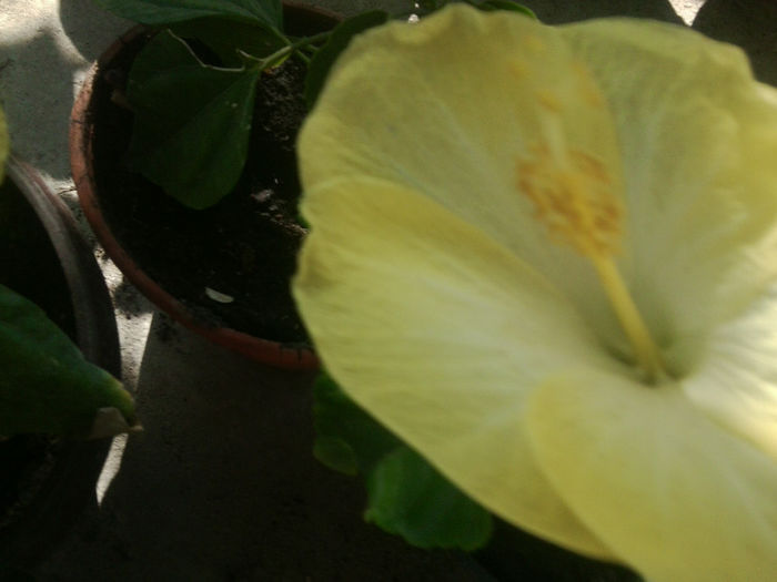 Fotografie5963 - emily