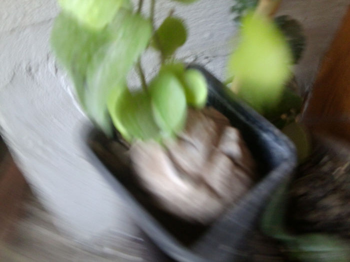 Fotografie6016