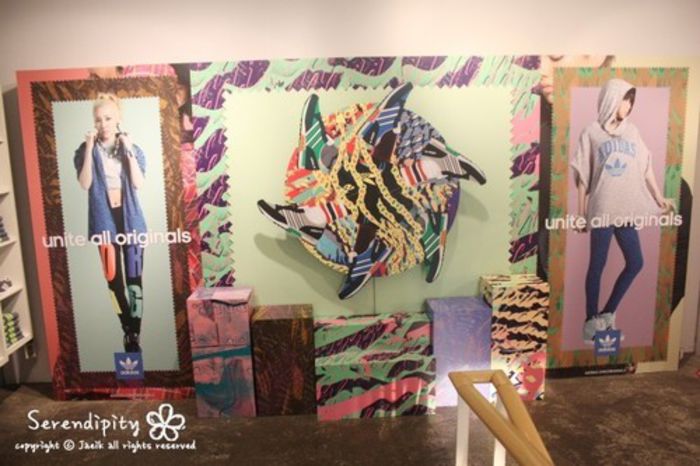 dara and bom adidas art gallery - 2ne1 6