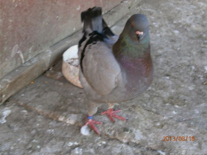Picture 027