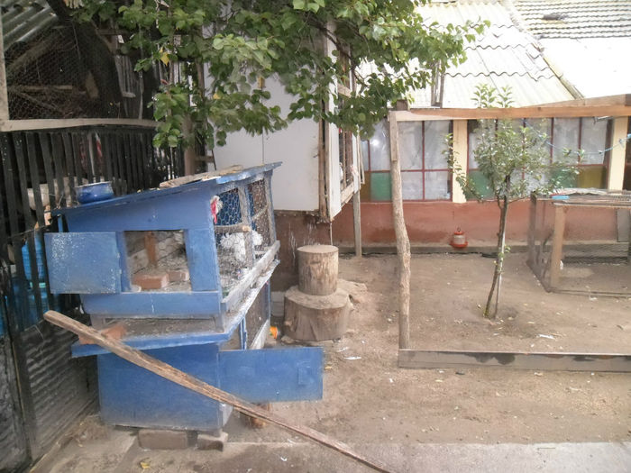 casuta ornamentului din lateral