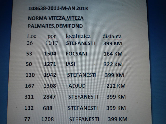 108638 2011 M CLASARI 2013; NORMA VITEZA+ DEMIFOND +VITEZA PALMARES
