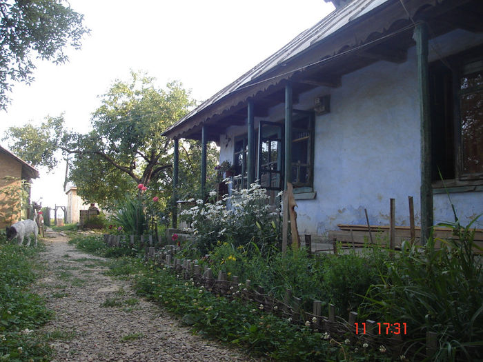 vedere de la poarta spre gradina - Casa - Imbunatatiri