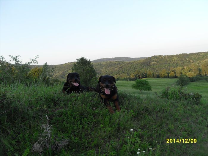 danulesti-craiova 2012 036