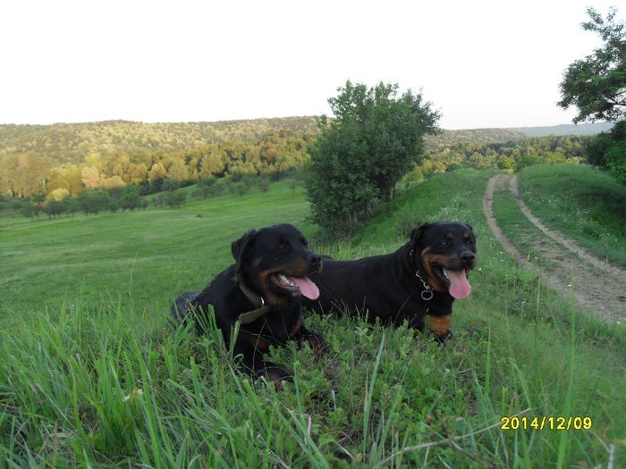 danulesti-craiova 2012 033