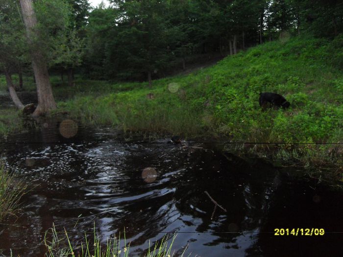 danulesti-craiova 2012 074