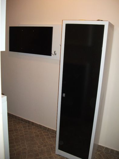 DSCF3007 - amenajari interioare