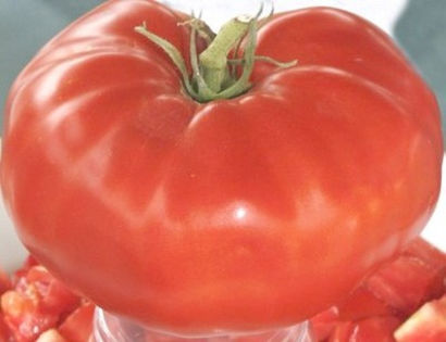 TOMATE- BEEFSTEAK