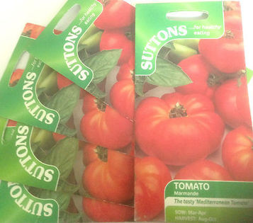 TOMATE- MARMANDE - 2014- seminte de plantat in primavara