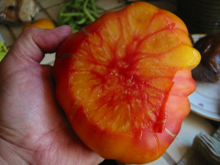 TOMATE- OLD GERMAN