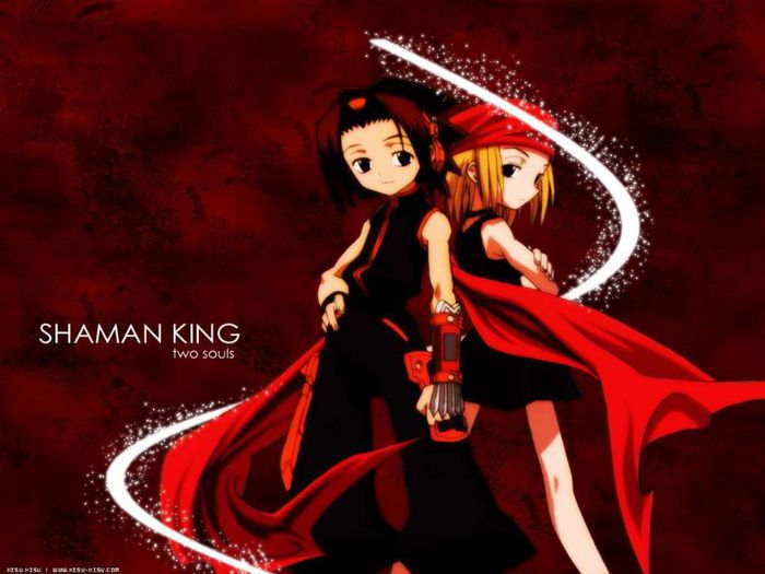 Shaman King-terminat - Lista anime
