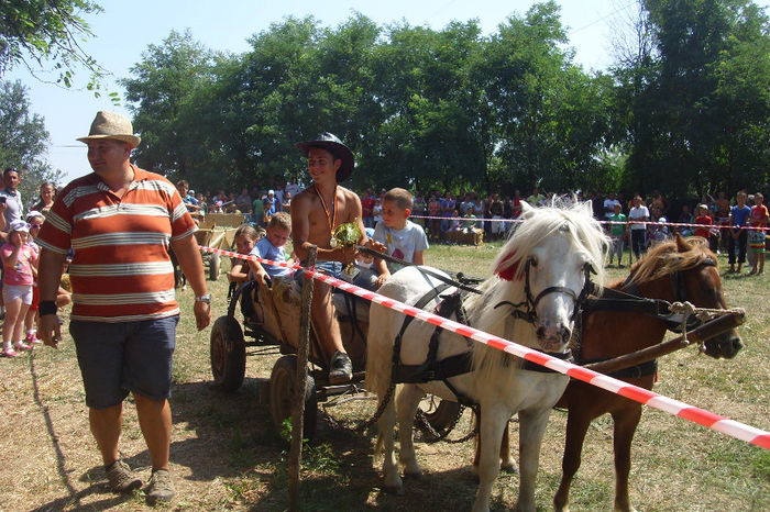 DSCI1930 - expozitia de cai tauteu 17-08-2013