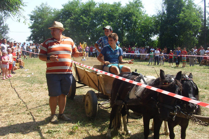 DSCI1932 - expozitia de cai tauteu 17-08-2013