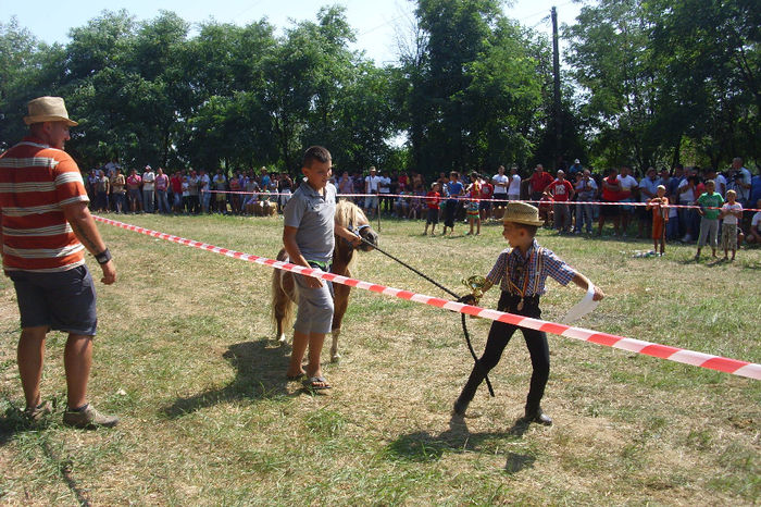 DSCI1942 - expozitia de cai tauteu 17-08-2013