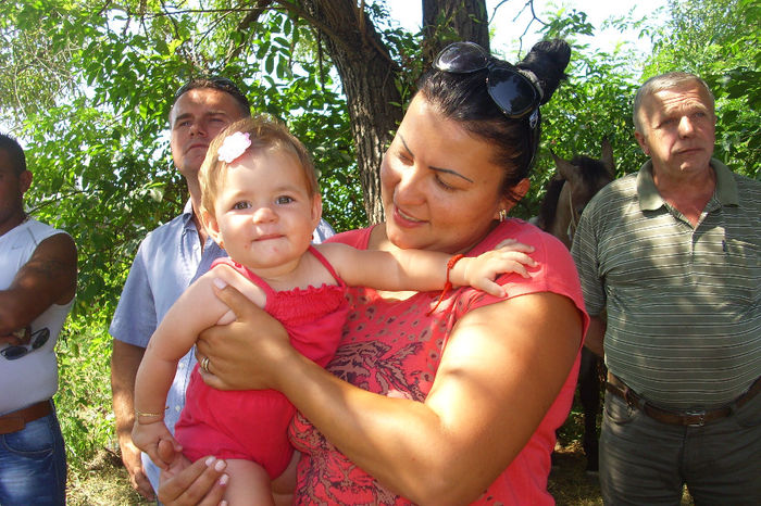 DSCI1991 - expozitia de cai tauteu 17-08-2013