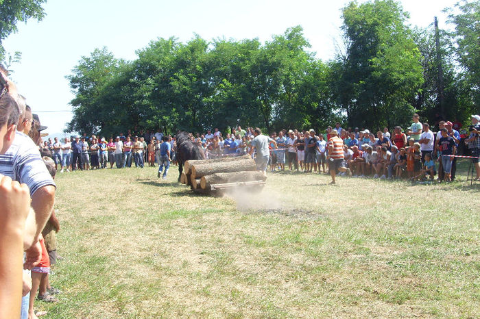 DSCI2005