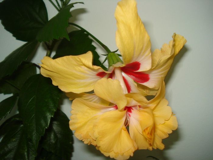 DSC09019